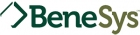 benesys logo